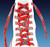 New England Patriots NFL Red Logo & Wordmark Shoe Laces - On a Patriots Blue Background