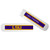 LSU Tigers Toothbrush Holder Case