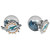 Miami Dolphins Front Back Earrings