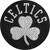 Boston Celtics NBA Bling Logo Emblem – Wordmark and Logo