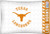 Texas Longhorns Pillowcase - Longhorns Logo