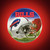 Buffalo Bills NFL Round Vinyl Decal Sticker - Helmet Design - Bills Wordmark