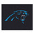 Carolina Panthers Tailgater Mat - Panthers Logo