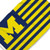 Michigan Wolverines American Flag Stripes