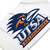 UTSA Logo Flag