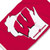 Wisconsin Badgers Logo Flag