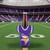 Minnesota Vikings NFL Football Purple Jersey Bottle Drink Logo Cooler - On a Football Field Background