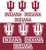 Indiana Hoosiers NCAA Team Logo Mini Decals

