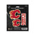 Calgary Flames NHL Decal Set