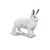 Arctic Hare Toy Animal Figure - Wild Animals