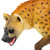Hyena Toy Animal Figure - Wild Animals