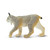 Lynx Toy Animal Figure - Wild Animals