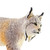 Lynx Toy Animal Figure - Wild Animals