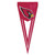 Arizona Cardinals Logo Pennant Flag