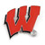 Wisconsin Badgers NCAA Team Logo Pin