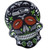 Seattle Seahawks 49ers NFL Football Sugar Skull Pin