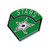 Dallas Stars NHL Triumph Logo Pin