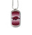 Arkansas Razorbacks NCAA Color Chrome Dog Tag Logo Necklace