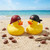 San Francisco 49ers Rubber Bandana Ducks - Displayed on a sandy beach next to tiny footballs.