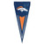 Denver Broncos Logo Pennant Flag