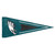 Philadelphia Eagles NFL Football Indoor Outdoor Pennant