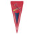 St Louis Cardinals MLB Red Vertical Nylon Pennant Flag - Cardinals Logo