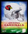 Arizona Cardinals NFL Football Helmet Logo Photograph - In a black frame