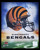 Cincinnati Bengals NFL Helmet Logo Photo Print (8" x 10") - Displayed in a black frame