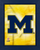 Michigan Wolverines Logo Photo Print - Displayed in a dark blue wood frame