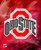 Ohio State Buckeyes NCAA Logo Image