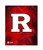 Rutgers University Collegiate Logo Photograph Print - In Black Frame