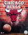 Chicago Bulls NBA Basketball Logo Photo - 8" x 10"