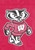 Wisconsin Badgers NCAA Team Logo Garden Window Flag