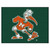 Miami Hurricanes All Star Mat - Sebastian Logo