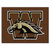 Western Michigan Broncos All Star Mat