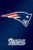 New England Patriots NFL Logo Poster