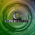 University Of Oregon Ducks Collegiate Silver & Black Chrome Logo & Wordmark Emblem - Displayed on a team color gradient background