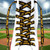 Pittsburgh Pirates MLB Baseball Wordmark Logo Shoelaces Pittsburgh Pirates MLB Baseball Wordmark Logo Shoelaces