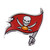 Tampa Bay Buccaneers NFL Logo Aluminum Metal Emblem