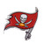 Tampa Bay Buccaneers NFL  Aluminum Logo Emblem