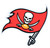 Tampa Bay Buccaneers NFL Team Logo Magnet