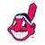 Cleveland Indians MLB Baseball 8" Logo Magnet