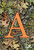 Mossy Oak Camouflage Monogram A House Flag