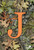 Mossy Oak Camo Monogram Letter J House Flag