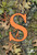 Mossy Oak Camouflage Monogram S House Flag