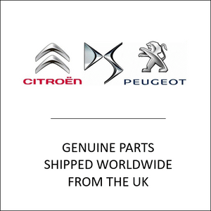 Genuine discounted original Peugeot Citroen DS 6439E8 CLIP shipped worldwide from the UK by allcarpartsfast.co.uk