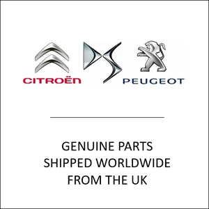 Peugeot Citroen DS 9820296280