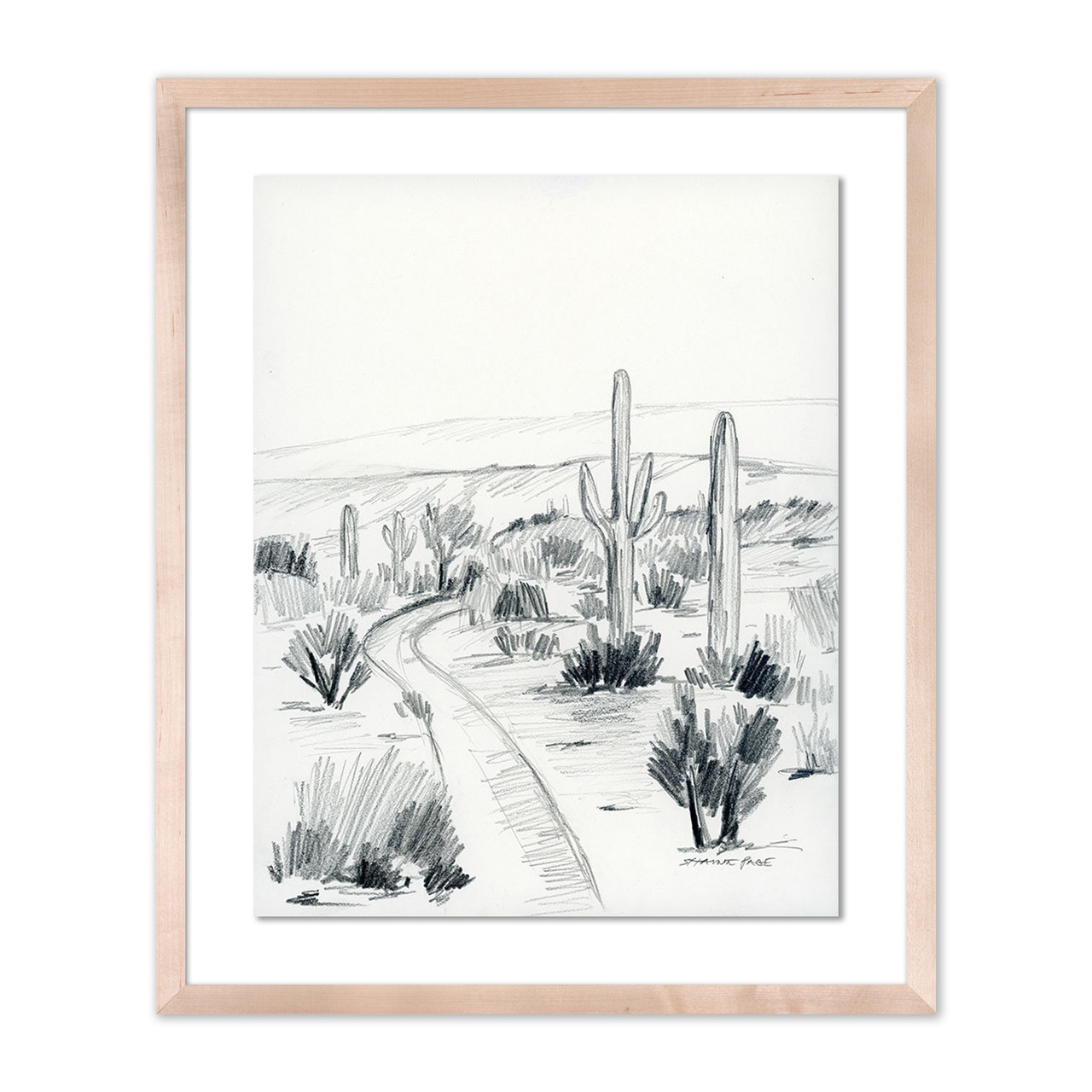 Pencil Drawing Cactus - Wonderwall Studio