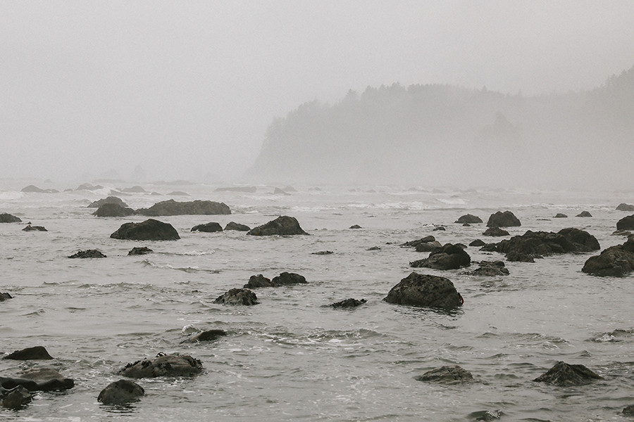 Low Tide/La Push, Washington Wonderwall Studio