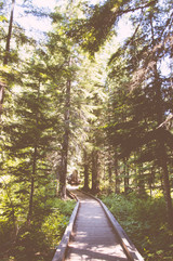 The Path Through